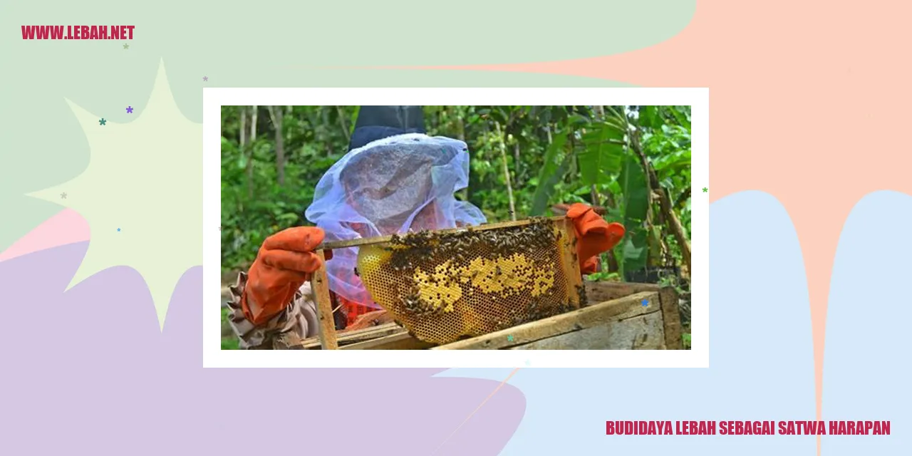 Budidaya Lebah