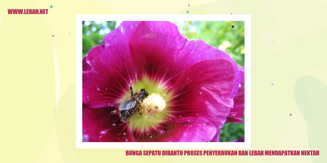 Bunga Sepatu