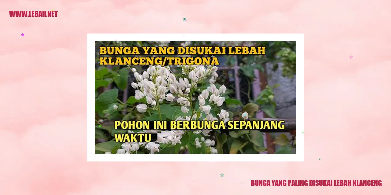 Bunga Matahari