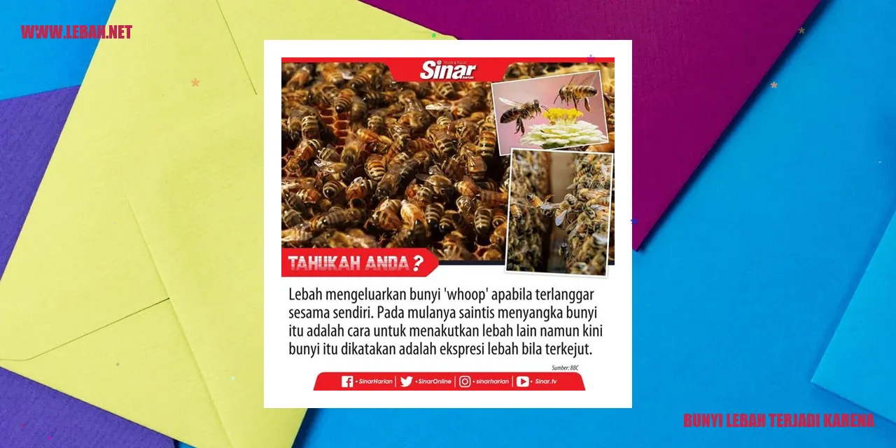 Bunyi Lebah