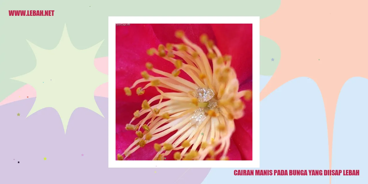 cairan manis pada bunga yang diisap lebah