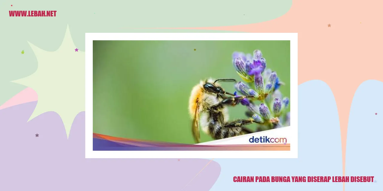 Cairan pada Bunga yang Diserap Lebah Disebut