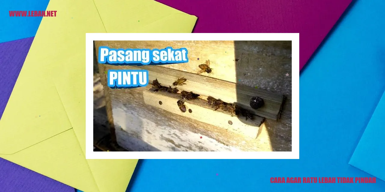 Cara Agar Ratu Lebah Tidak Pindah
