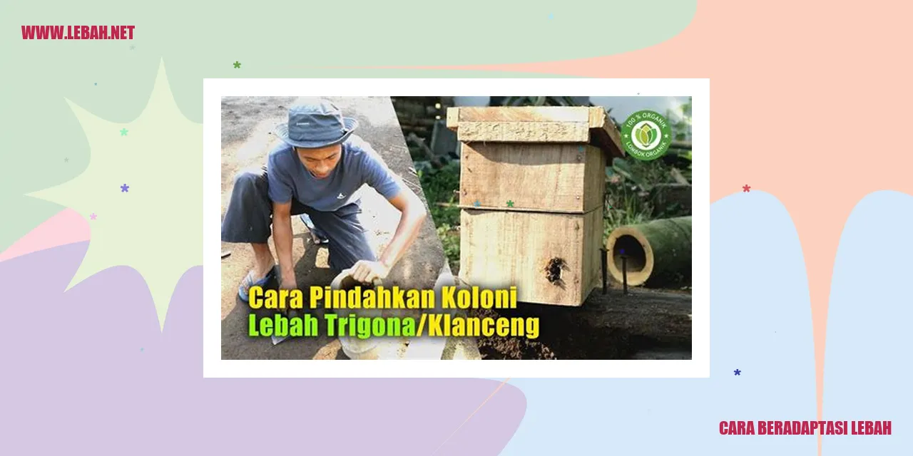 gambar lebah