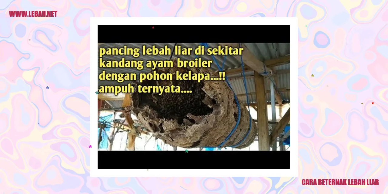 cara beternak lebah liar