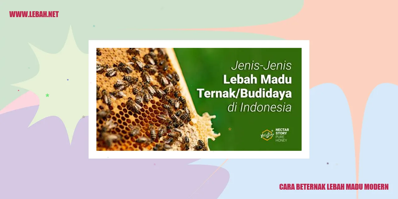 cara beternak lebah madu modern