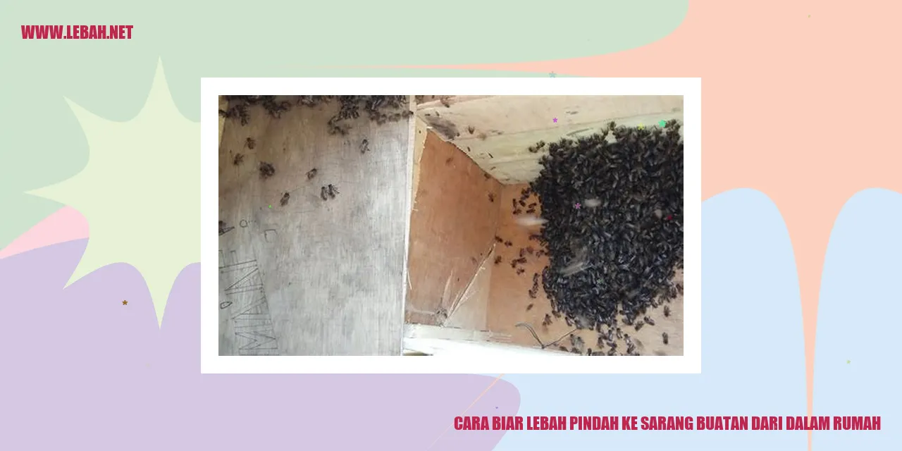 Cara Biar Lebah Pindah ke Sarang Buatan dari Dalam Rumah
