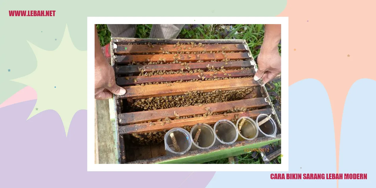 sarang lebah modern