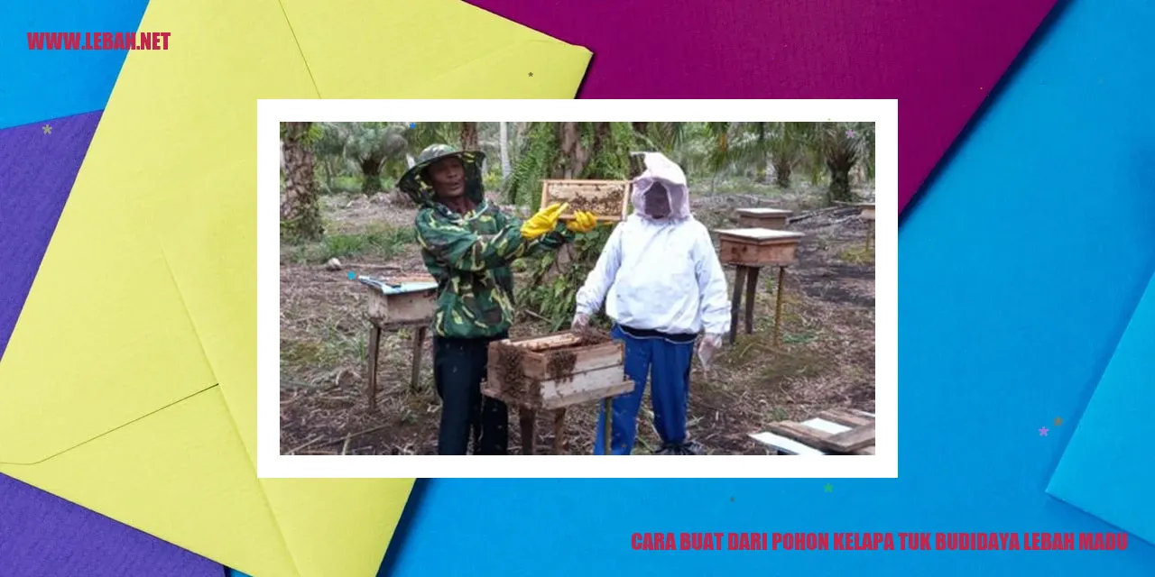 cara buat dari pohon kelapa tuk budidaya lebah madu