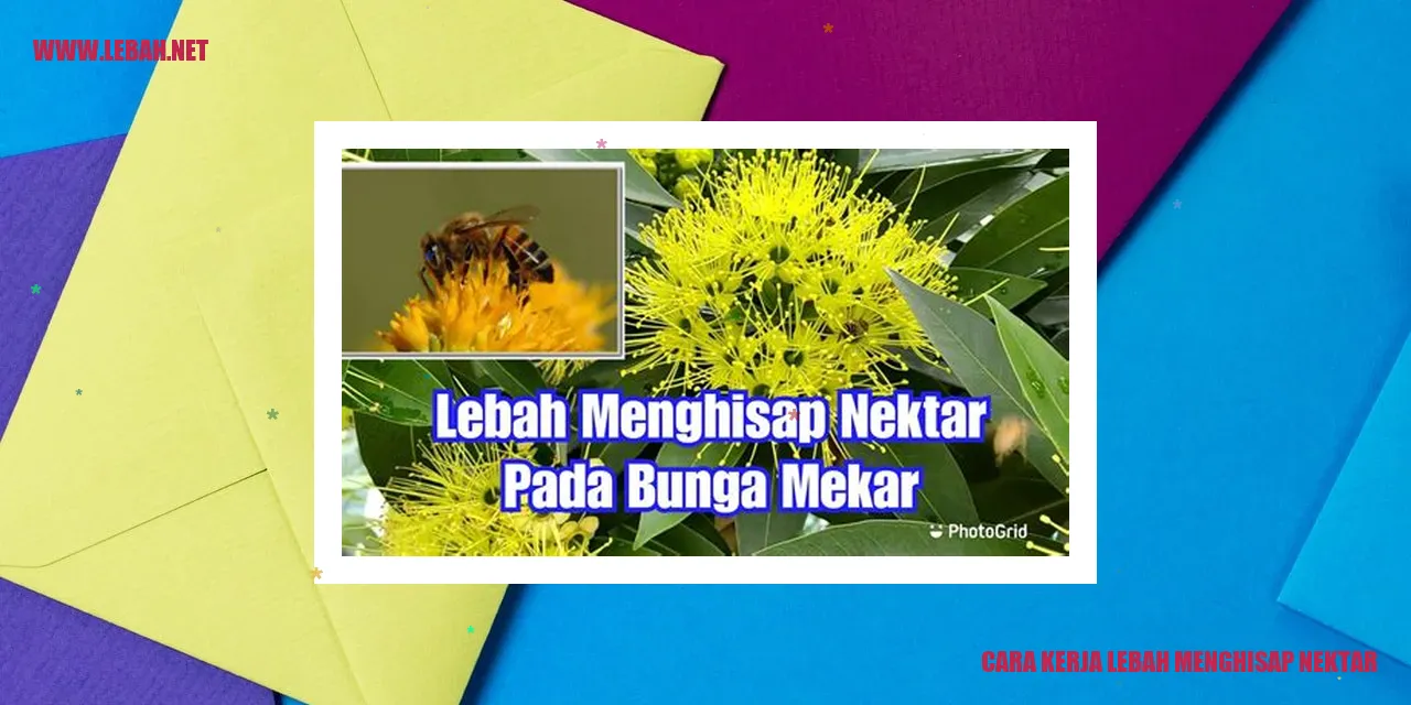 cara kerja lebah menghisap nektar