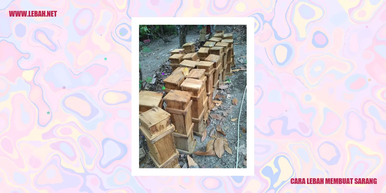 cara lebah membuat sarang