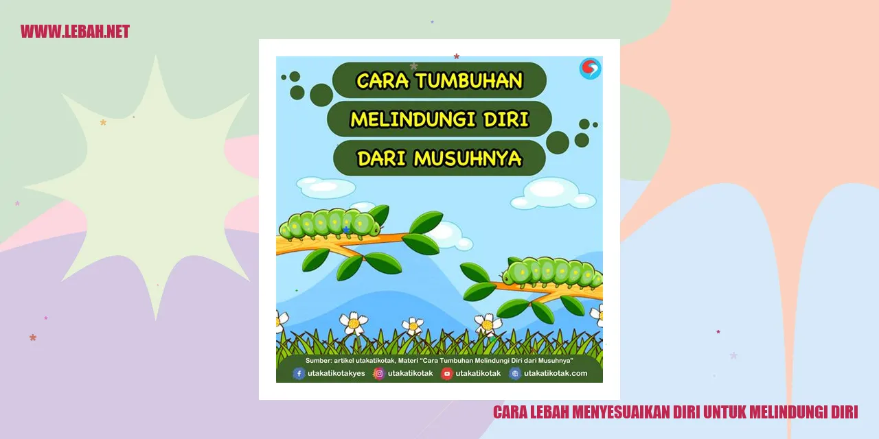 lebah