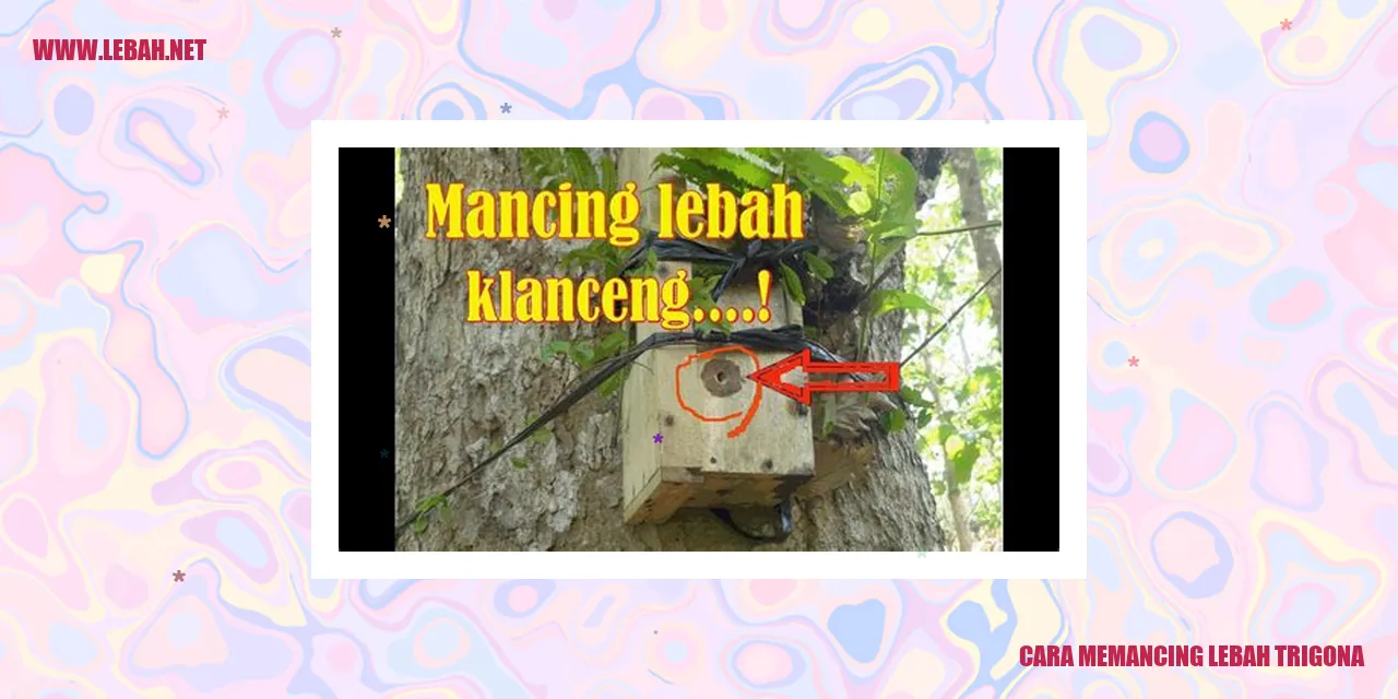 Gambar Lebah Trigona