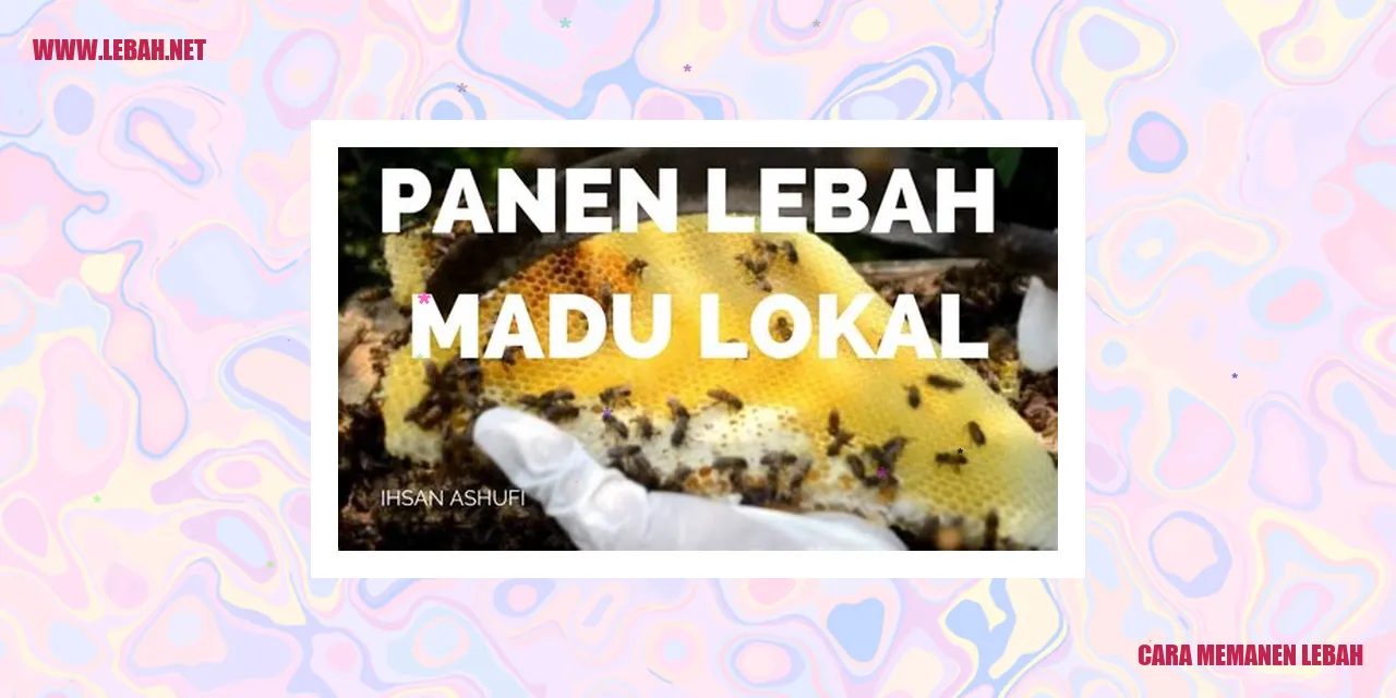 Cara Memanen Lebah