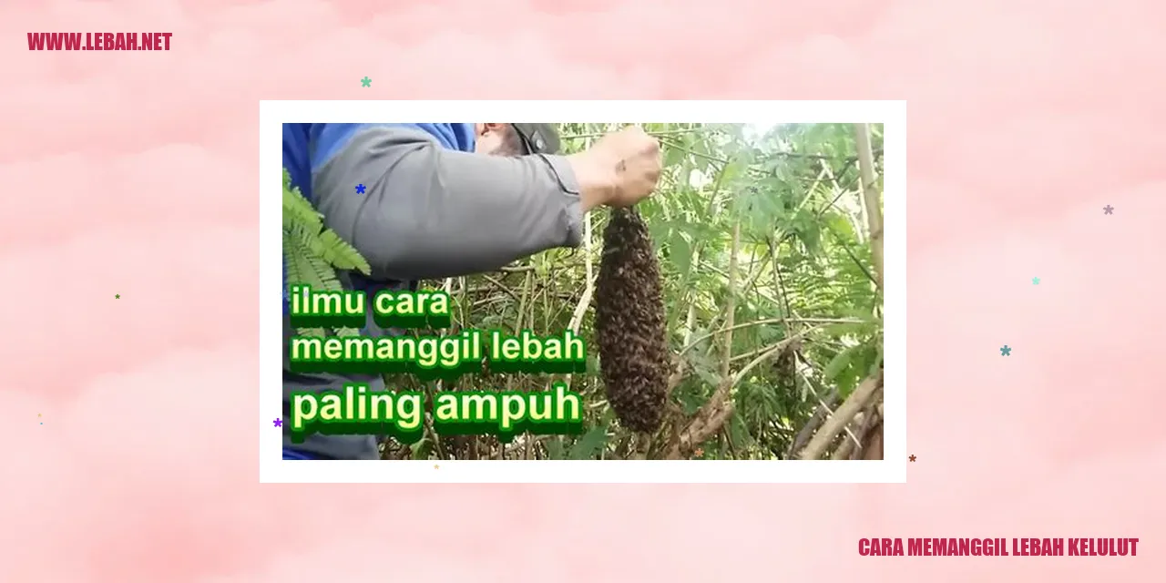 cara memanggil lebah kelulut