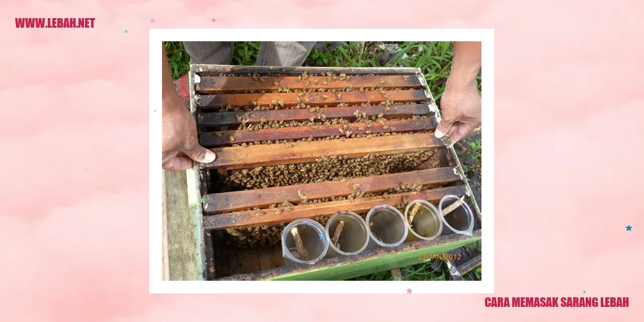 cara memasak sarang lebah