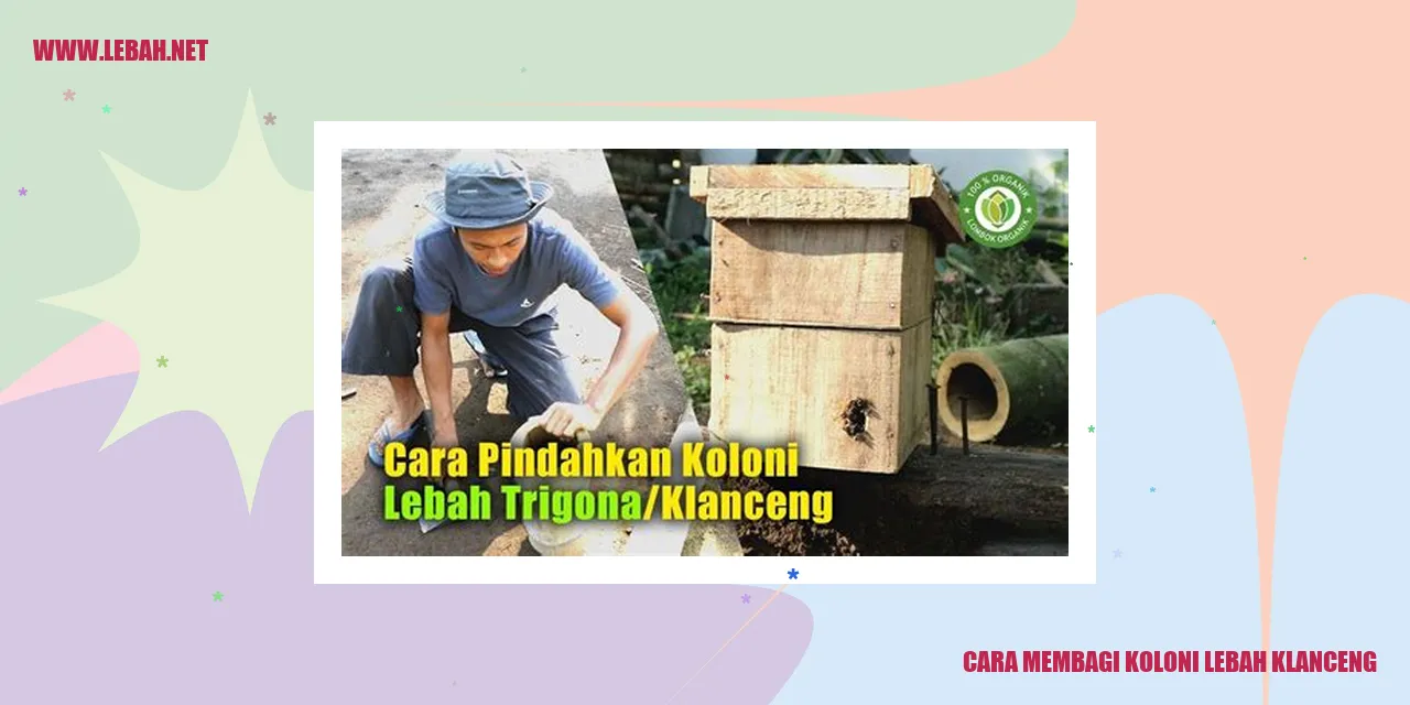 Koloni Lebah Klanceng