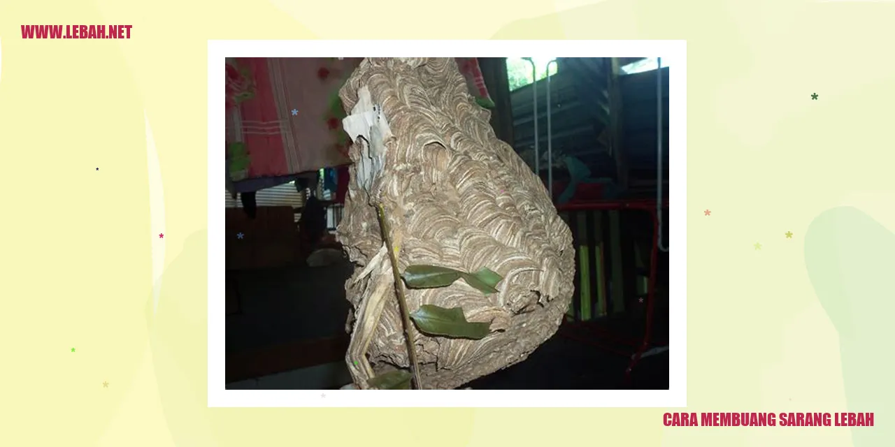 Cara Membuang Sarang Lebah