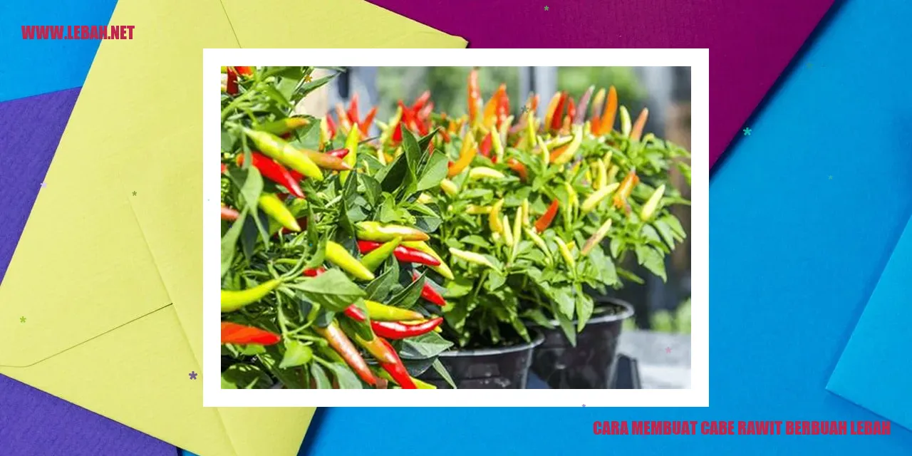 cara membuat cabe rawit berbuah lebat