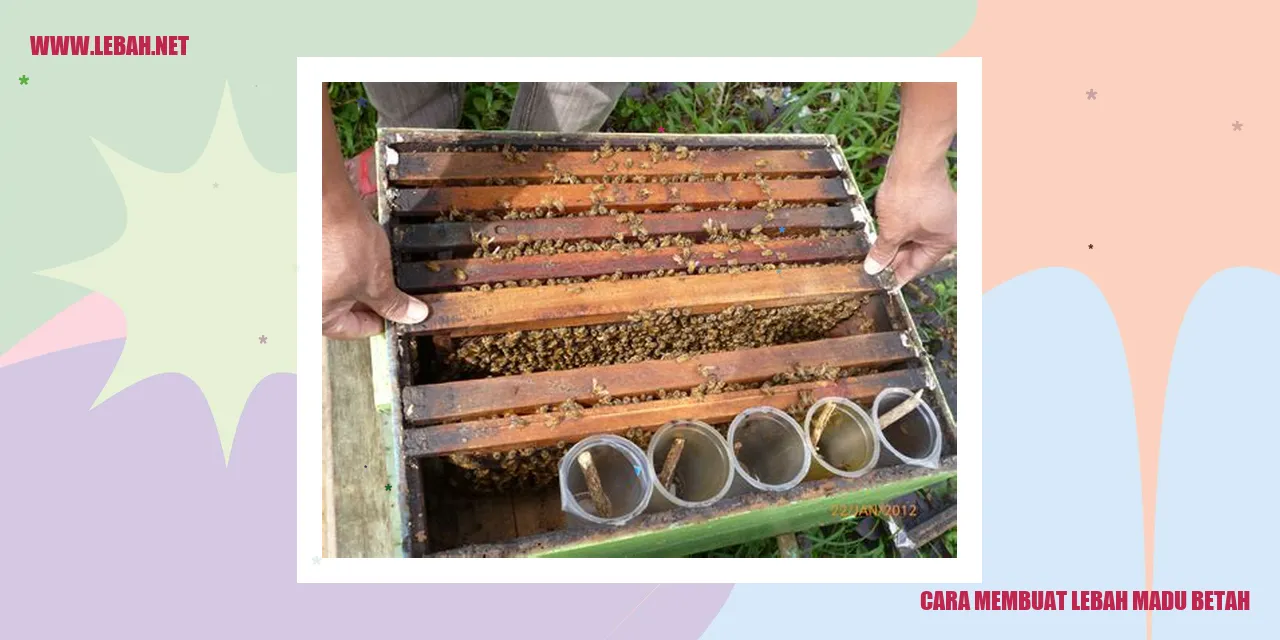 cara membuat lebah madu betah