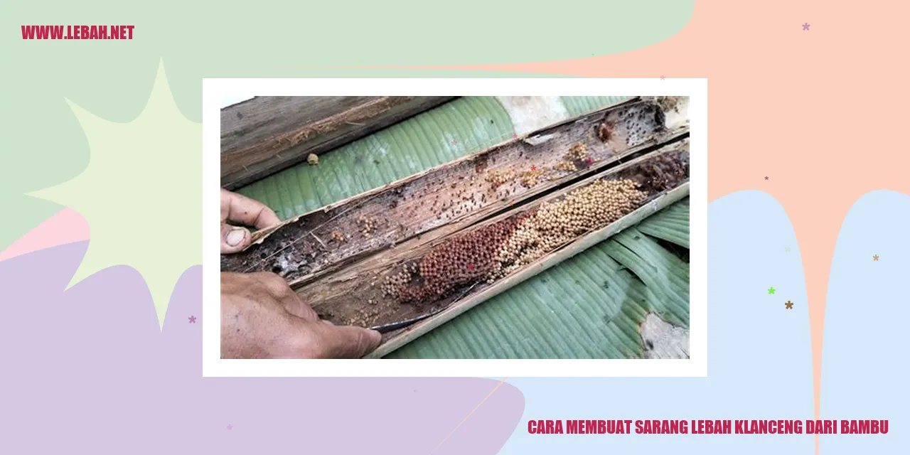 Sarang Lebah Klanceng dari Bambu