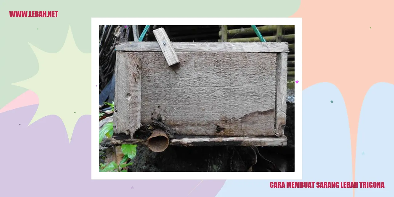 Sarang Lebah Trigona