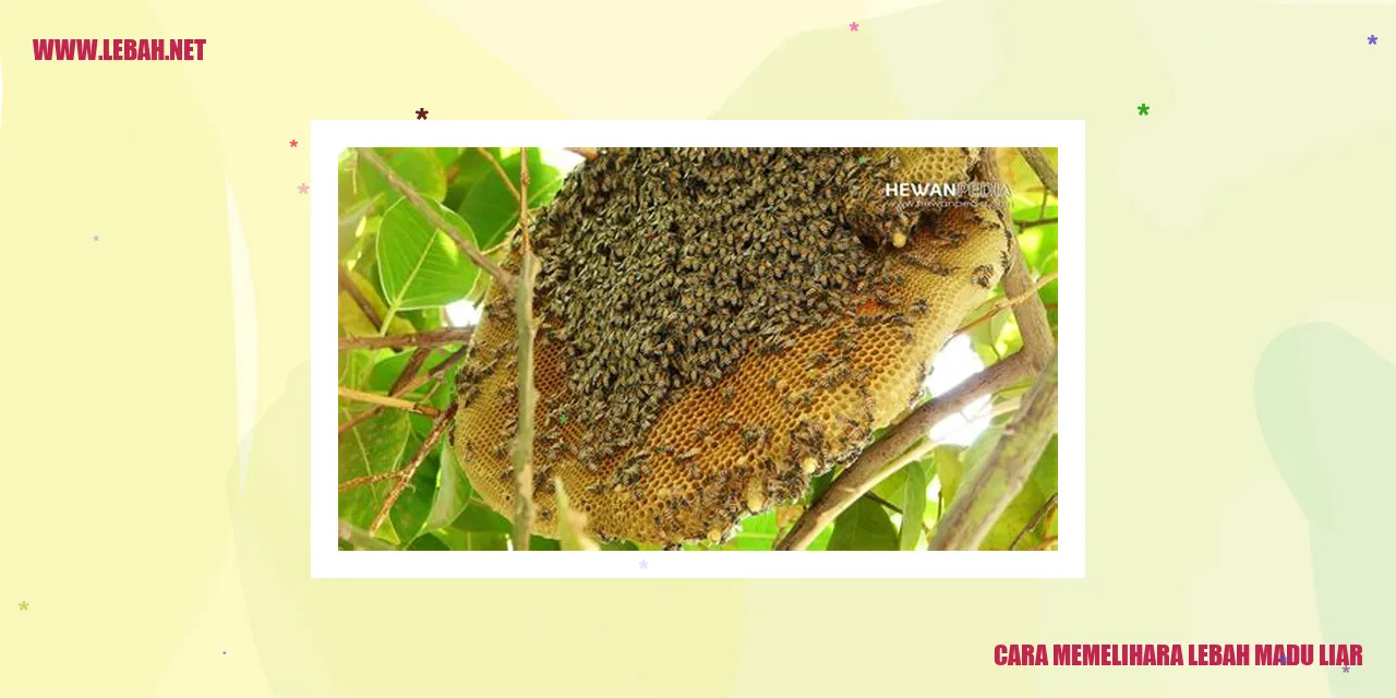 Lebah Madu Liar