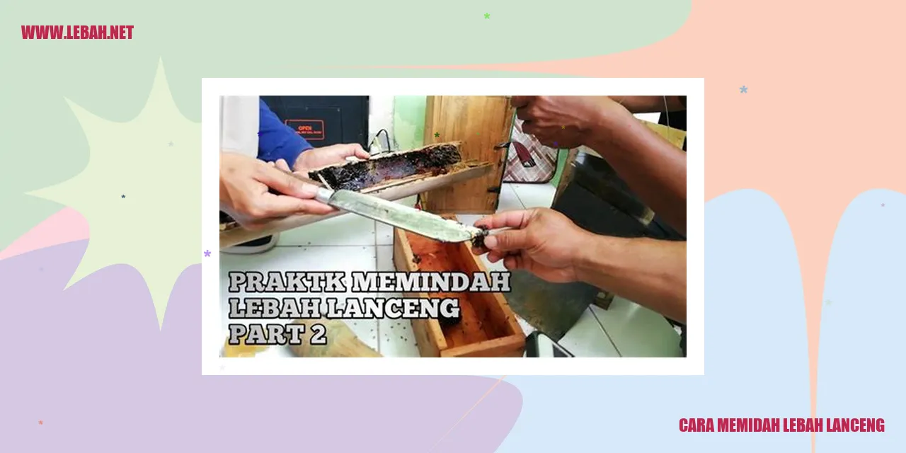 Lebah Lanceng