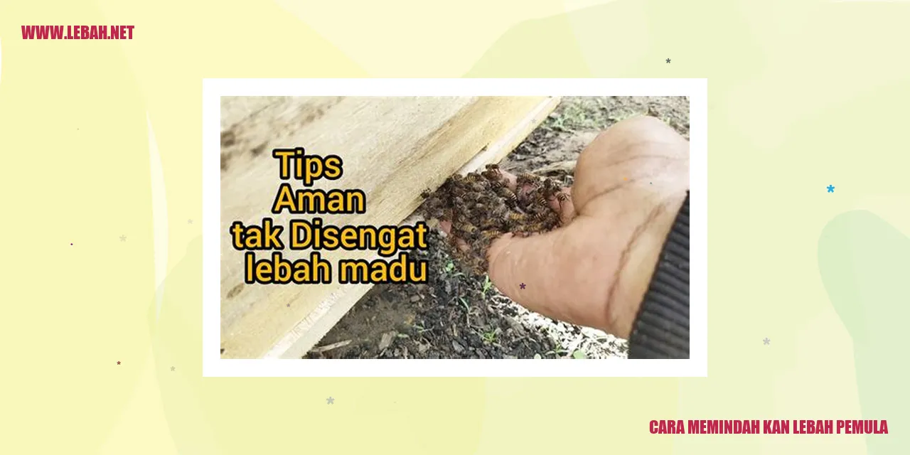 lebah