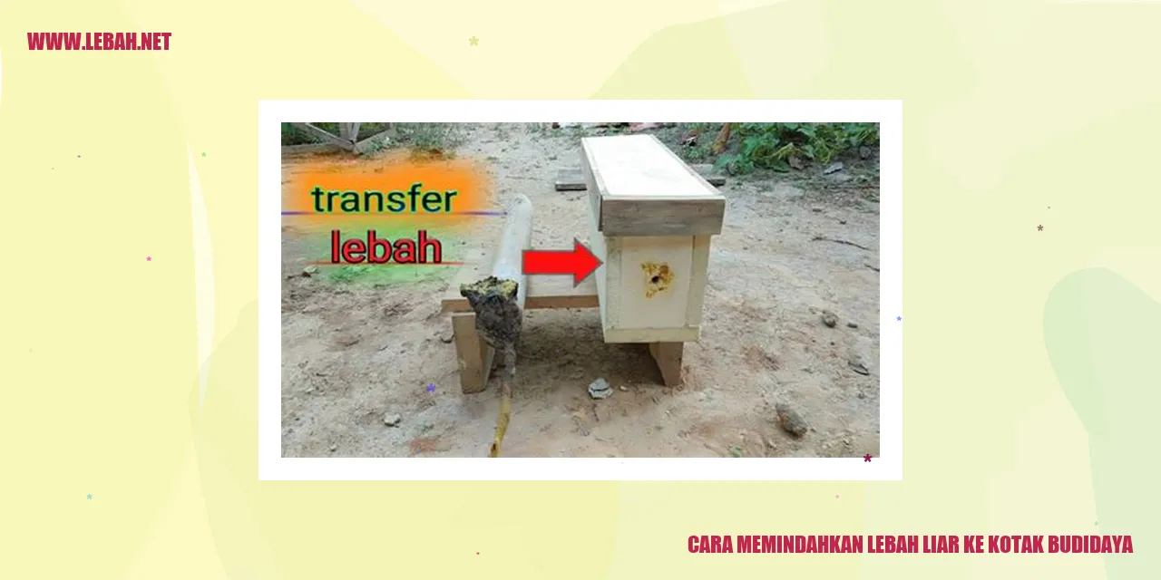 Gambar Lebah