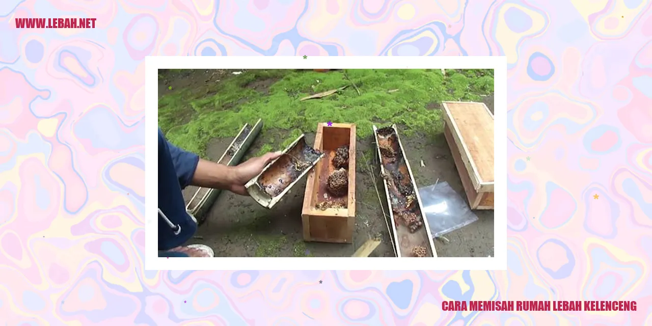 cara memisah rumah lebah kelenceng