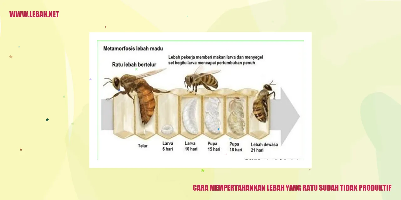 lebah mempertahankan ratu yang tidak produktif