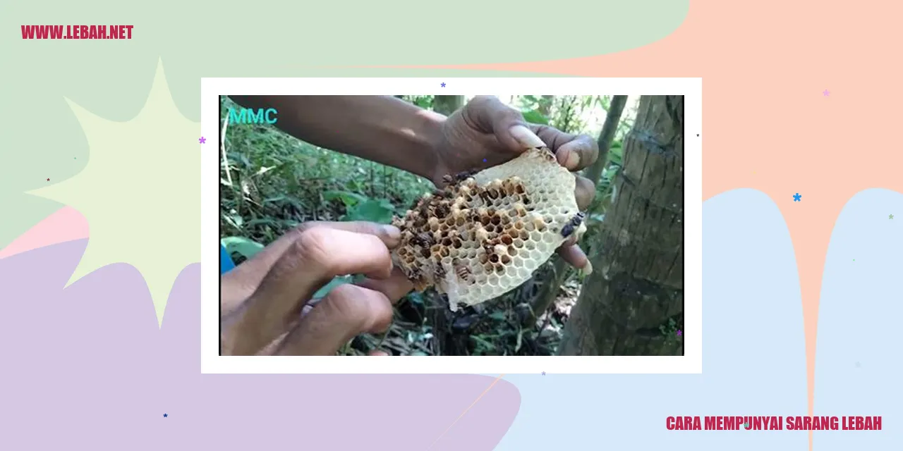 sarang lebah