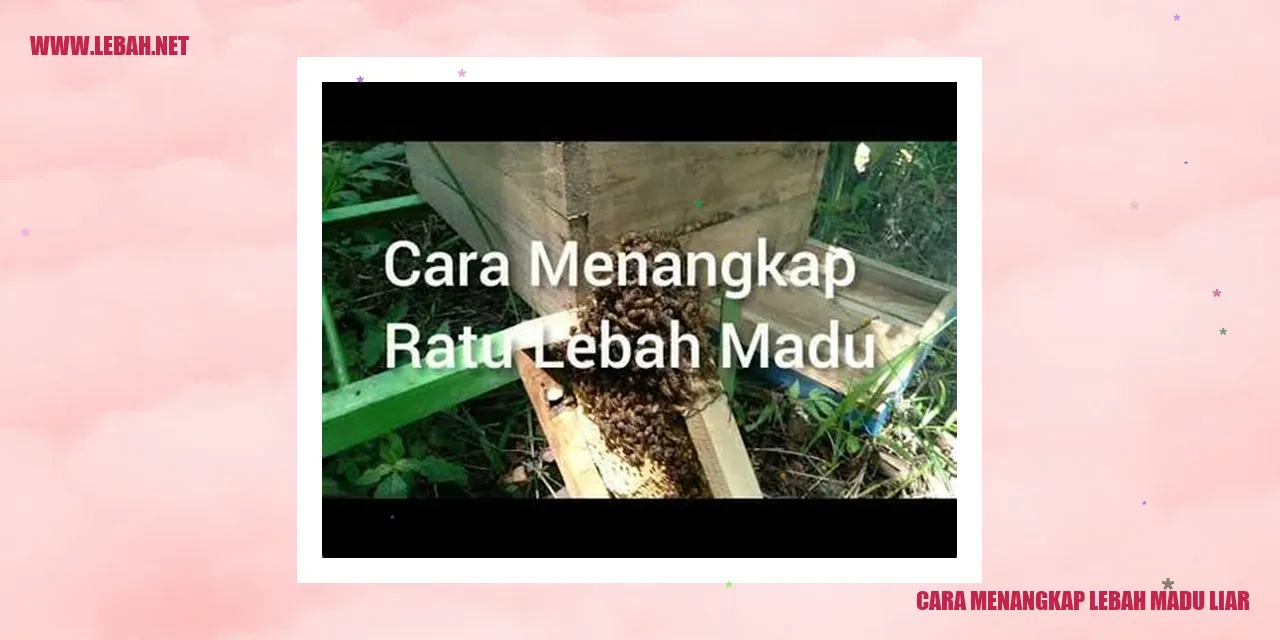 Alat pembakar asap untuk mengalihkan perhatian lebah madu liar