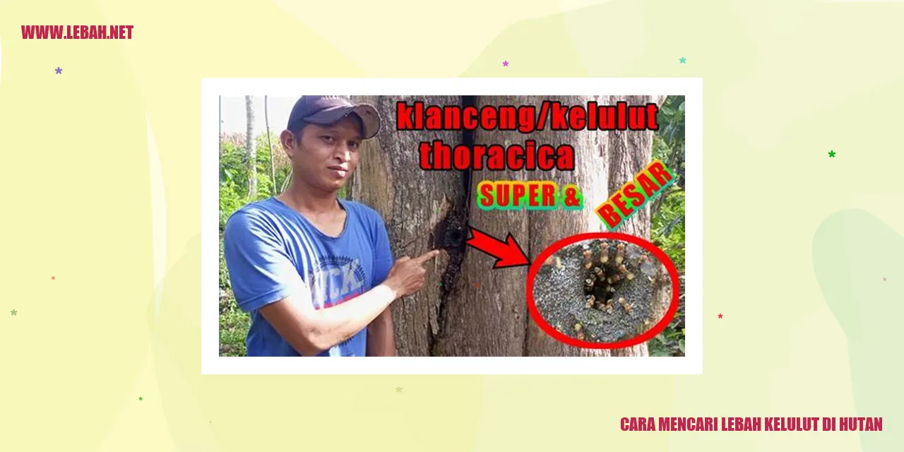Cara Mencari Lebah Kelulut di Hutan