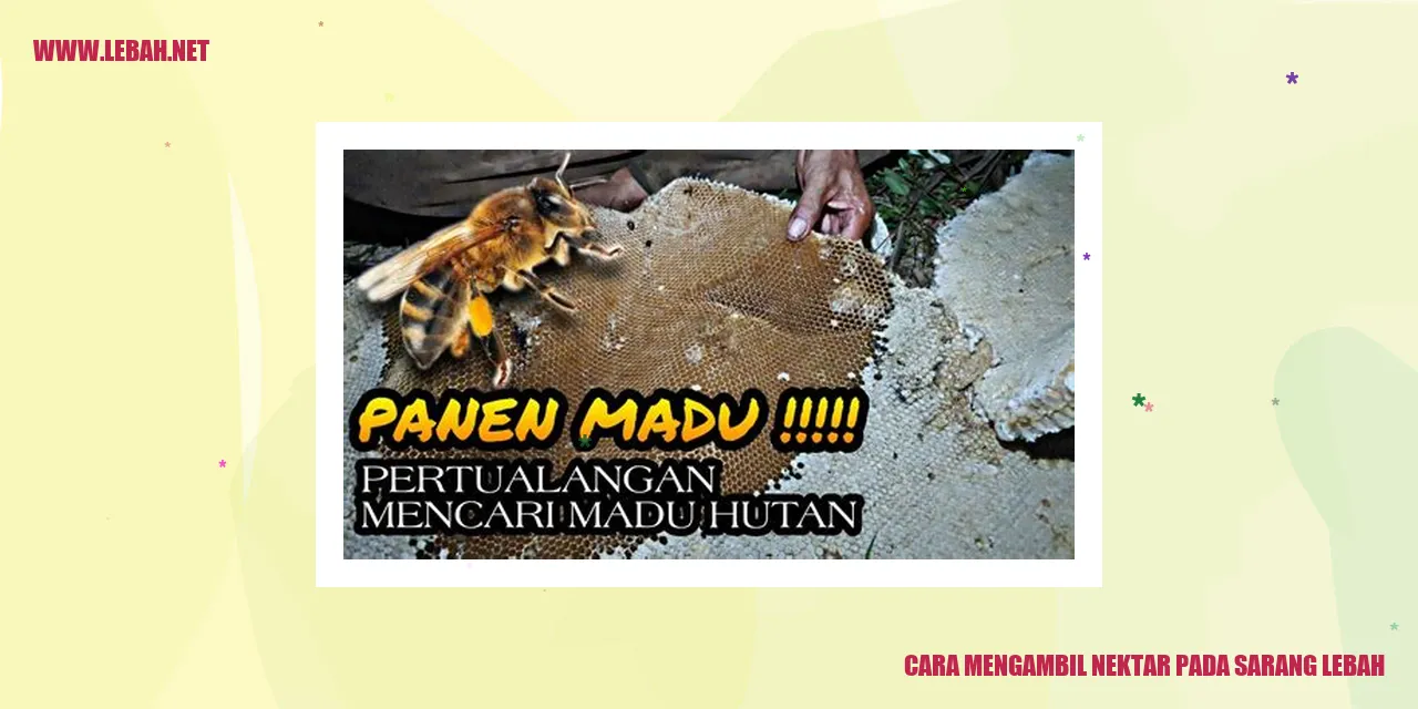 Cara mengambil nektar pada sarang lebah