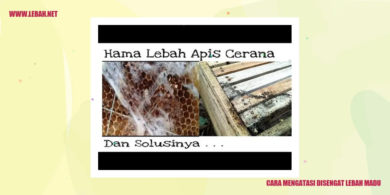 cara mengatasi disengat lebah madu