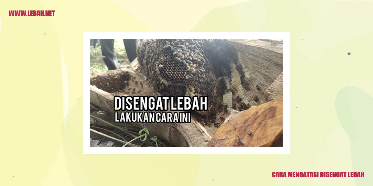 Cara Mengatasi Disengat Lebah