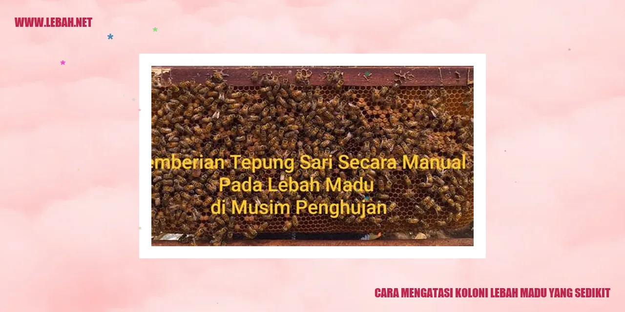 lebah madu