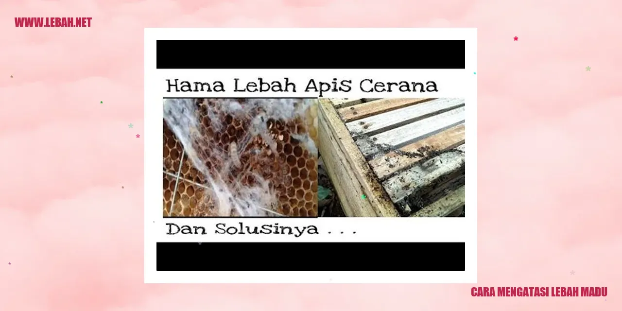 cara mengatasi lebah madu