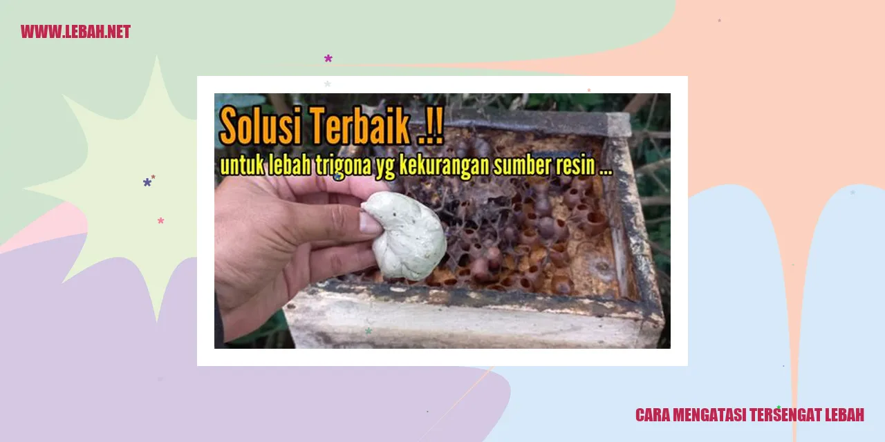 cara mengatasi tersengat lebah