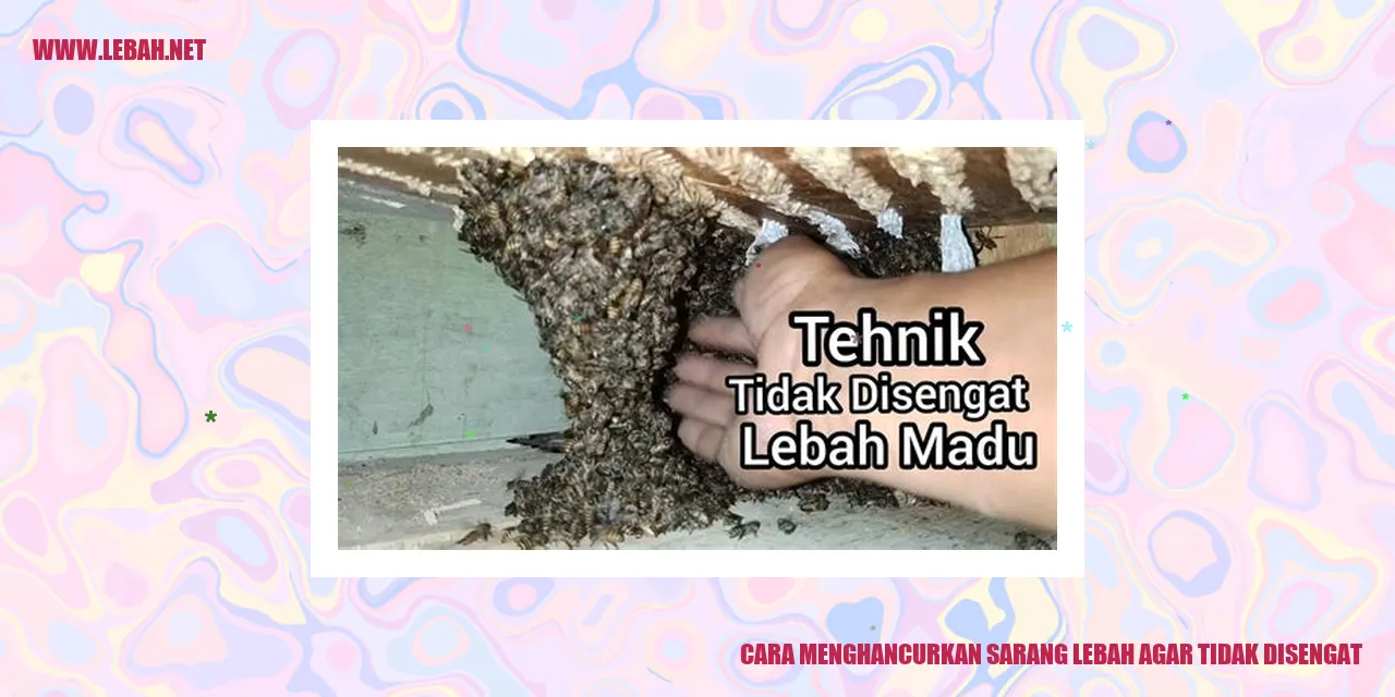 Gambar Sarang Lebah