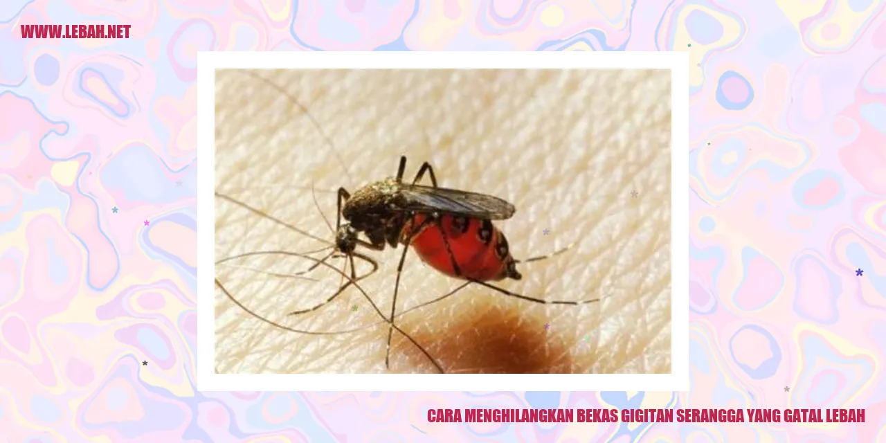 cara menghilangkan bekas gigitan serangga yang gatal lebah