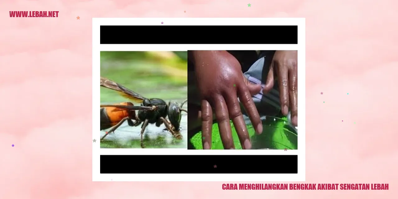 cara menghilangkan bengkak akibat sengatan lebah