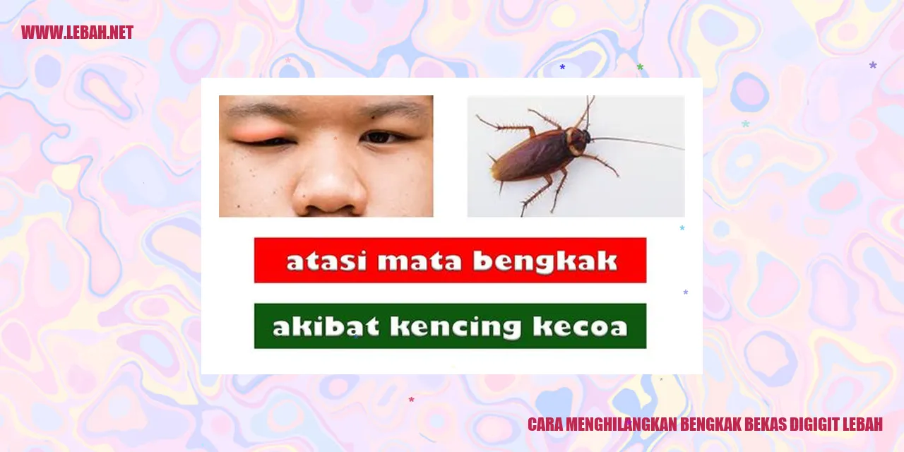 cara menghilangkan bengkak bekas digigit lebah