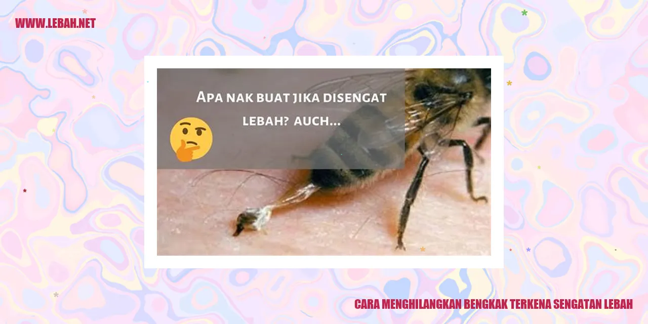 Cara Menghilangkan Bengkak Terkena Sengatan Lebah
