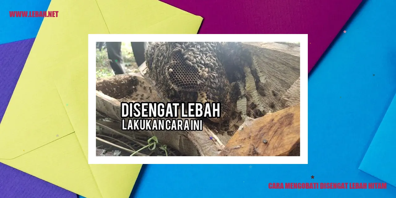 cara mengobati disengat lebah hitam