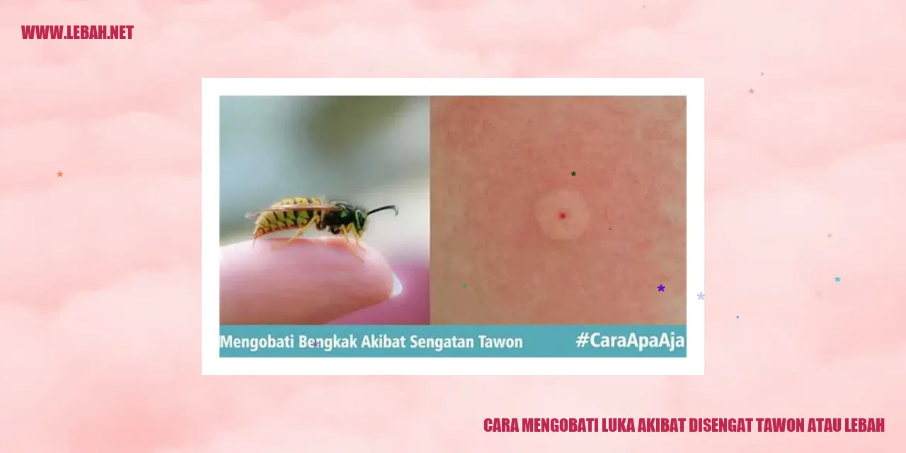 Cara Mengobati Luka Akibat Disengat Tawon atau Lebah