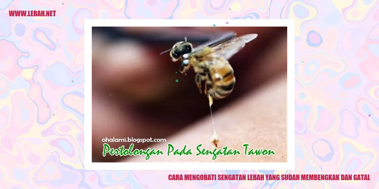 cara menghilangkan sengatan