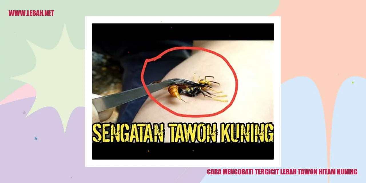Lebah Tawon Hitam Kuning
